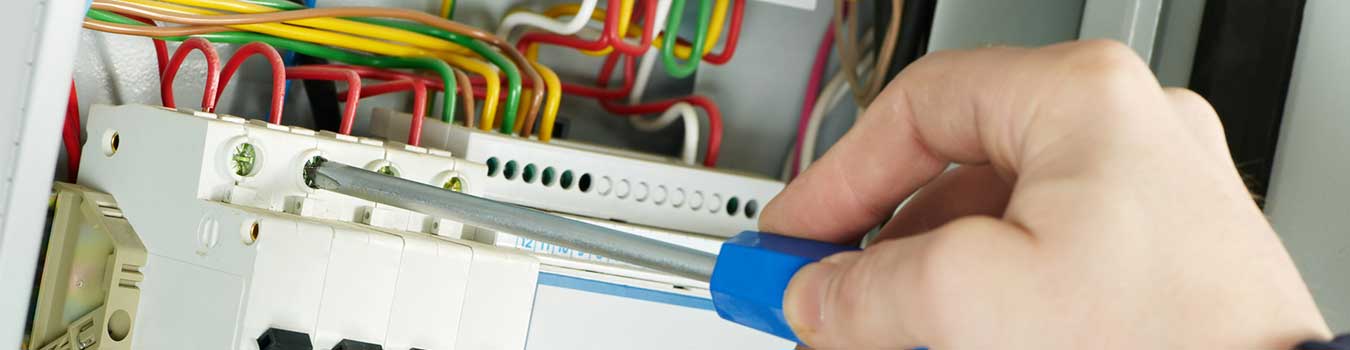 Professional Electricians